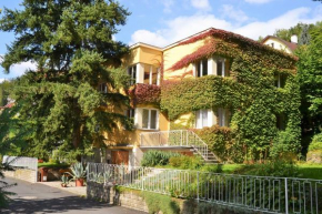 Vila Daniela, Karlovy Vary